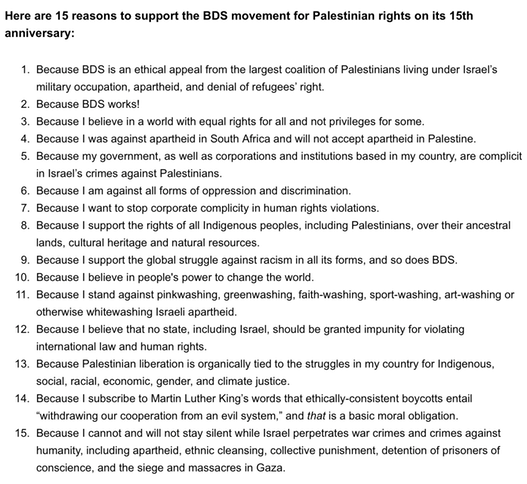 15 Reasons to Support BDS