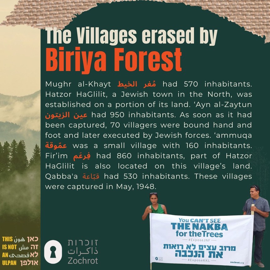 Biriya Forest