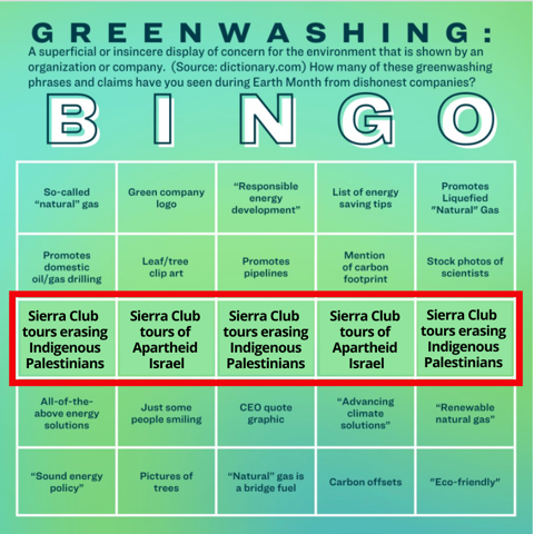 Greenwashing Bingo