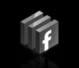 Facebook Icon for Michael Levin