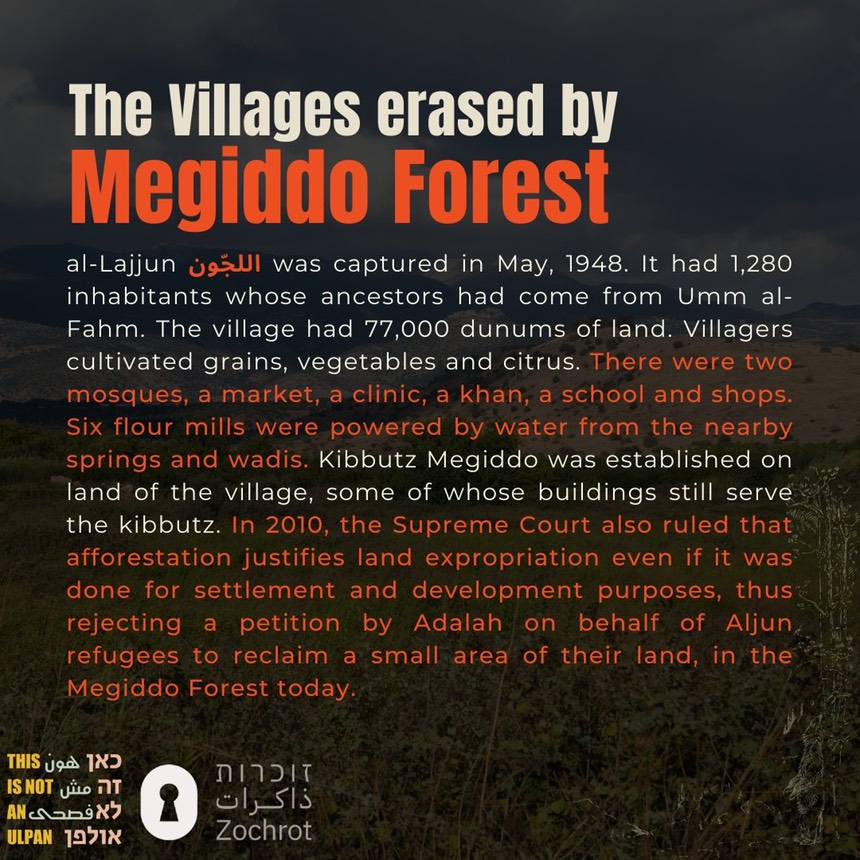 Megiddo Forest