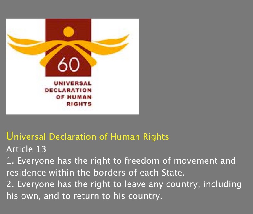 About the Universal Declaration of Human Rights